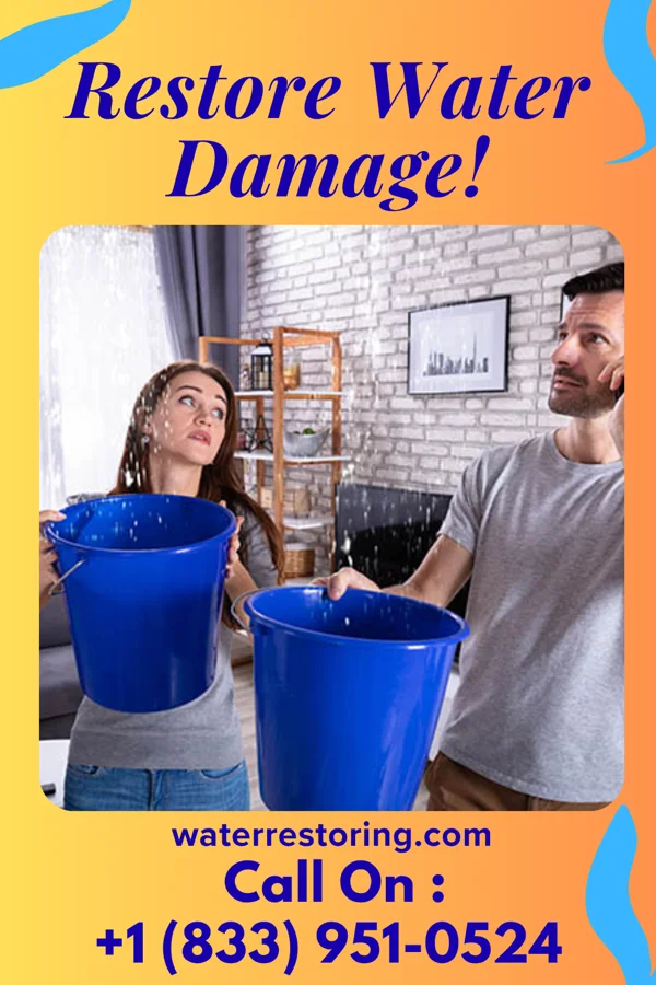 water restoration Advanced Emergency Restoration Force Norton