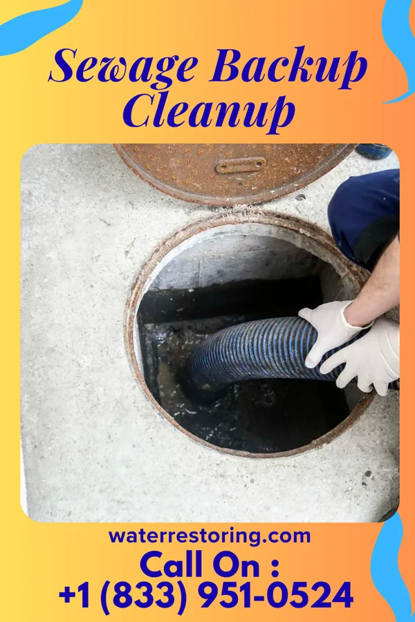 Sewage Backup Cleanup in Norton, OH