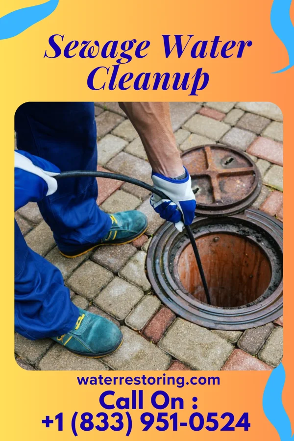 Sewage Water Cleanup in Norton, OH